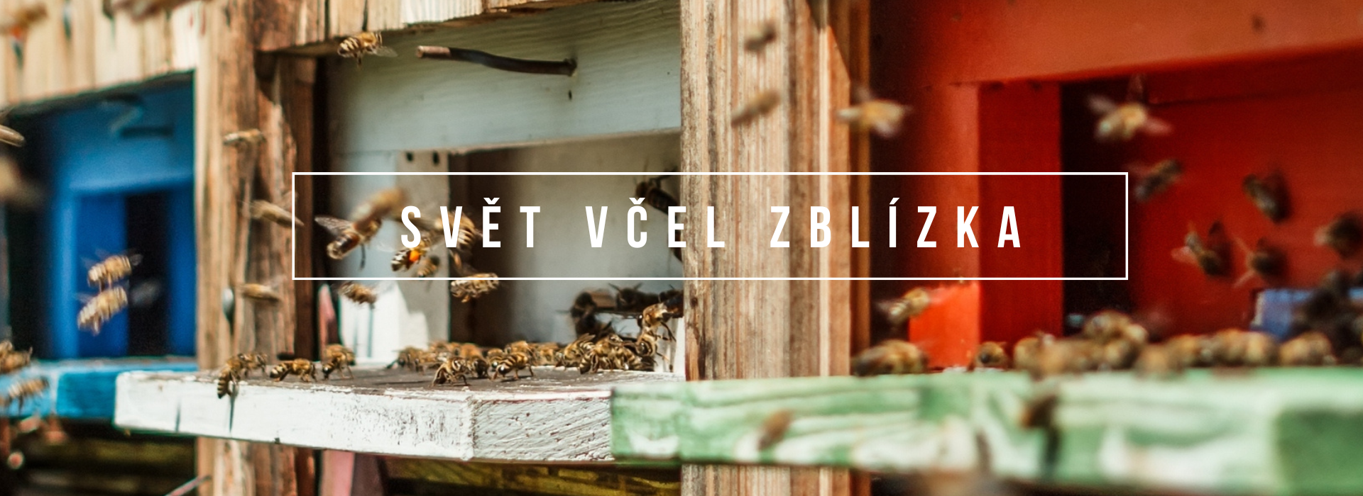 mojemedonosky (1920 x 700 px) - 5